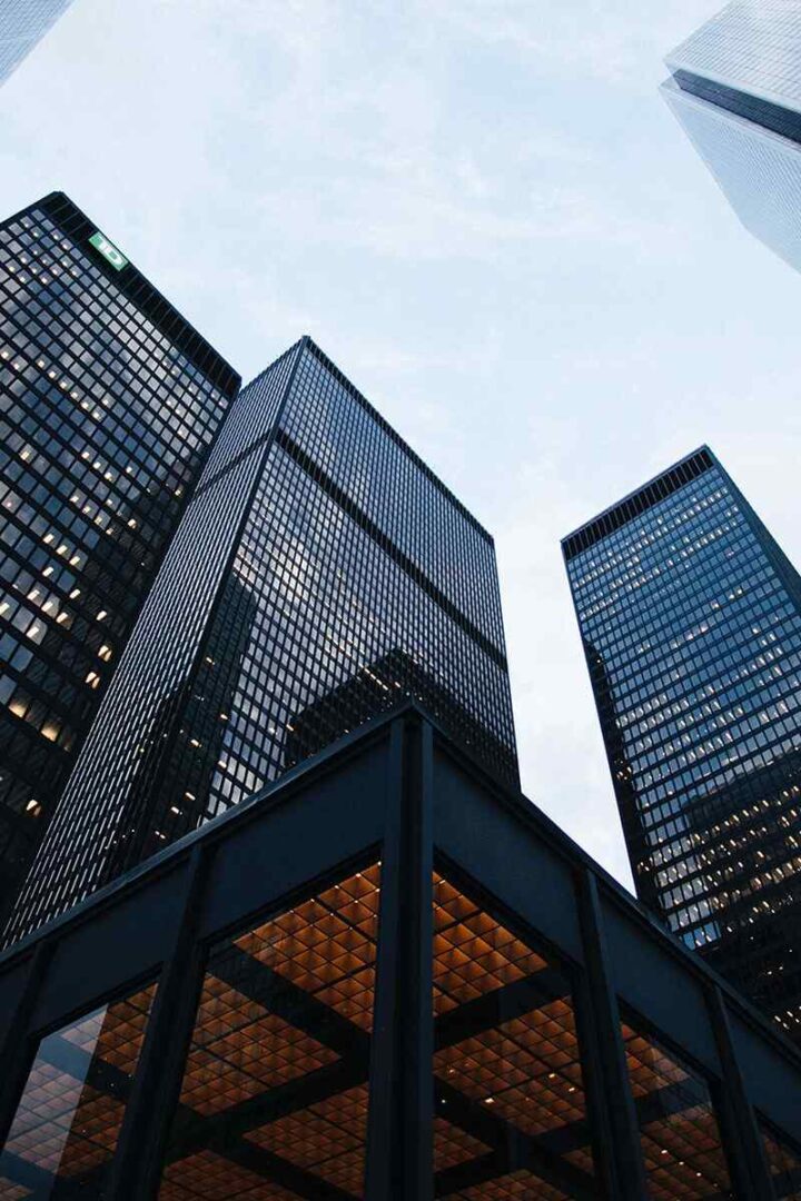 https://alphamedvet.com/wp-content/uploads/2020/09/map-image-720x1080.jpg